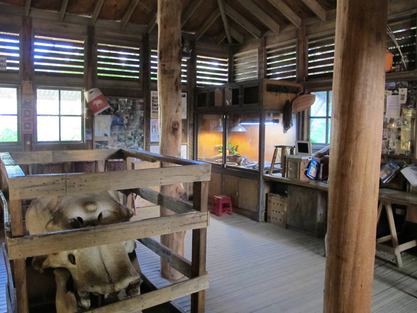 Elephant Research Station - Melbourne Zoo April 2013
