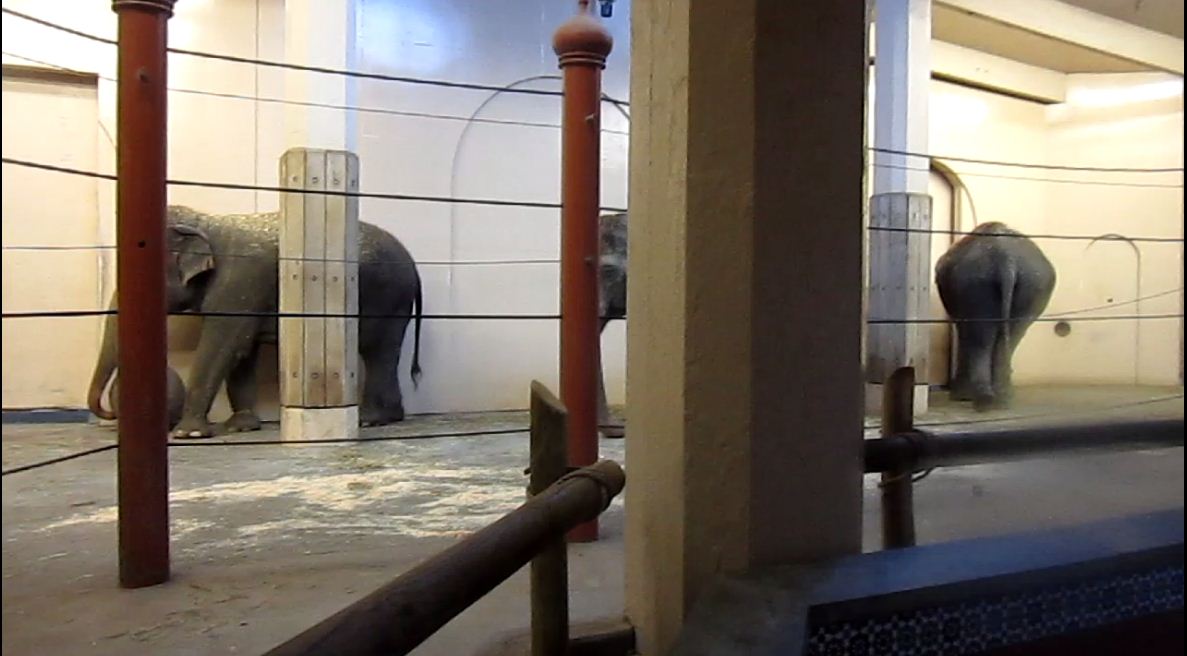 Elephant Reserve-Elephant House-Cow Bedroom