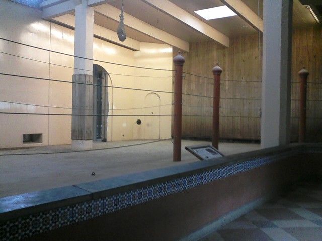 Elephant Reserve- Indoor Indian Elephant exhibit