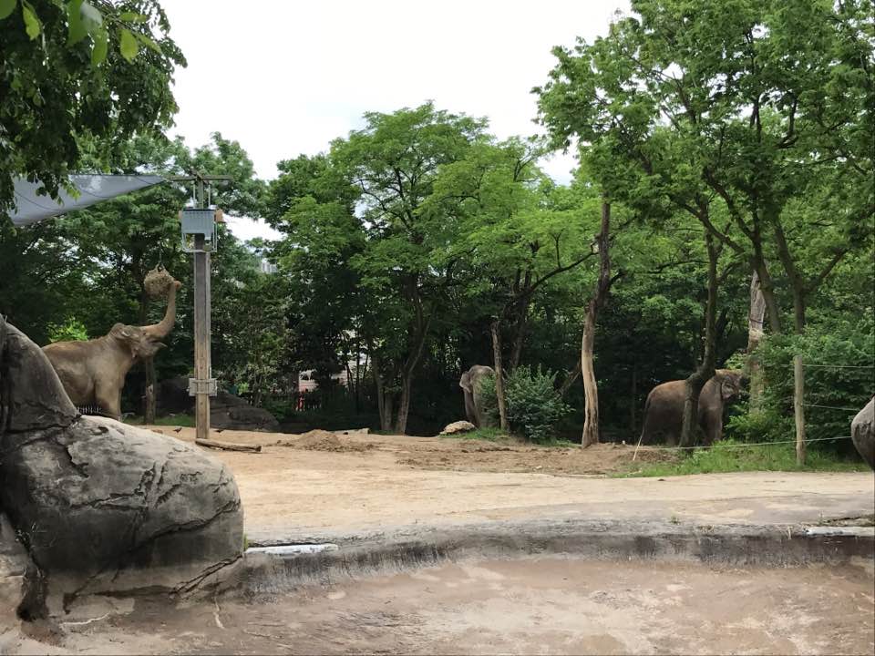 Elephant Reserve