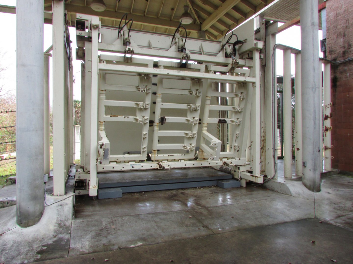 Elephant Restraint Device