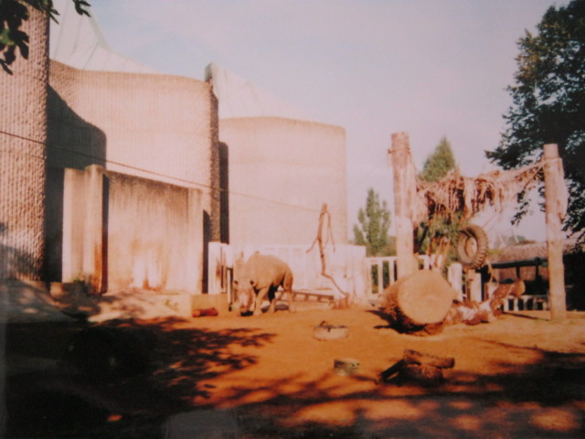 Elephant/Rhino Pavilion 1999.