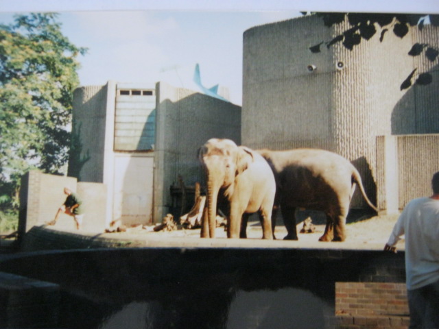 Elephant/Rhino Pavilion 6/10/99