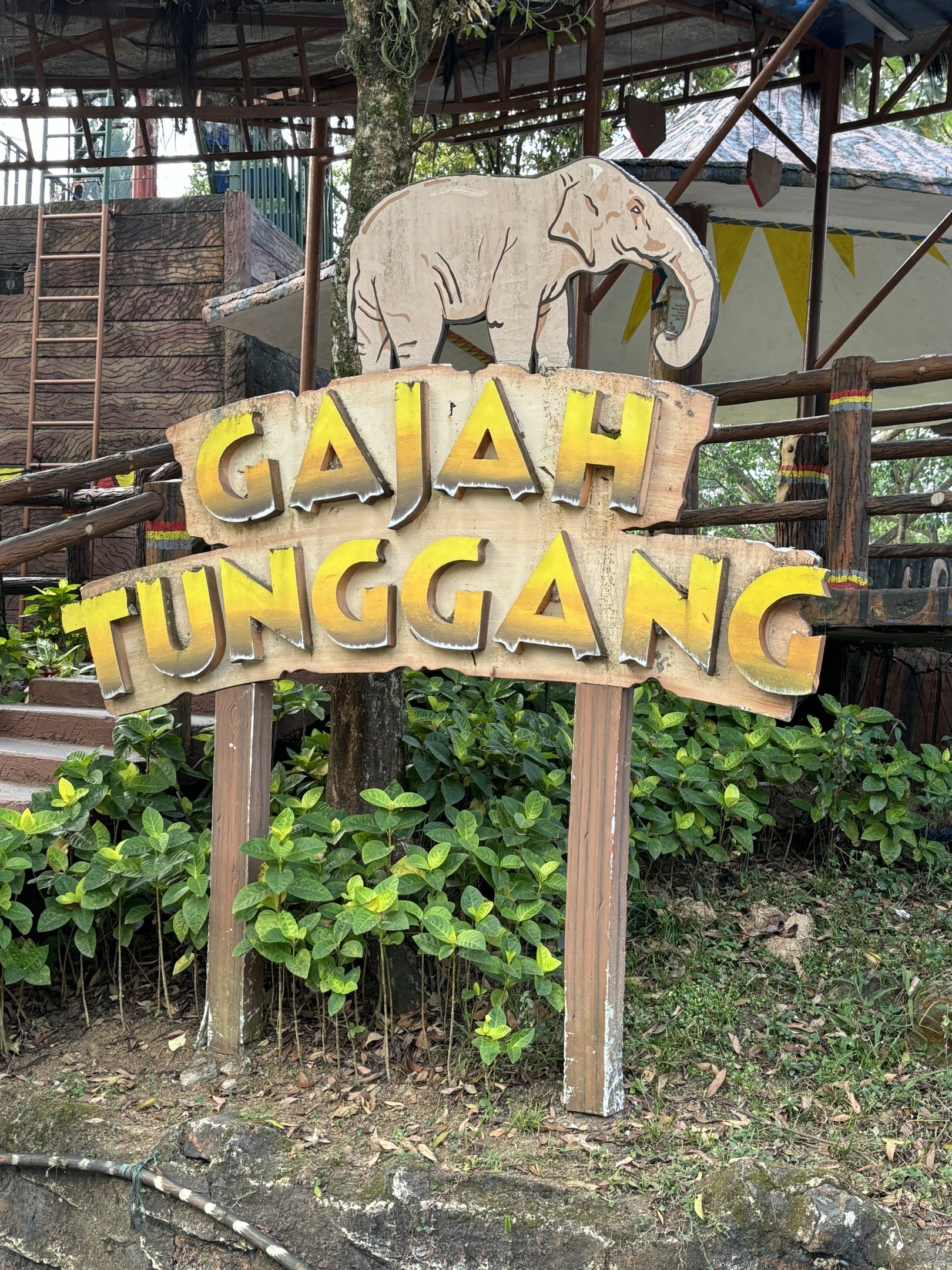 Elephant Ride Area - Royal Safari Garden Resort