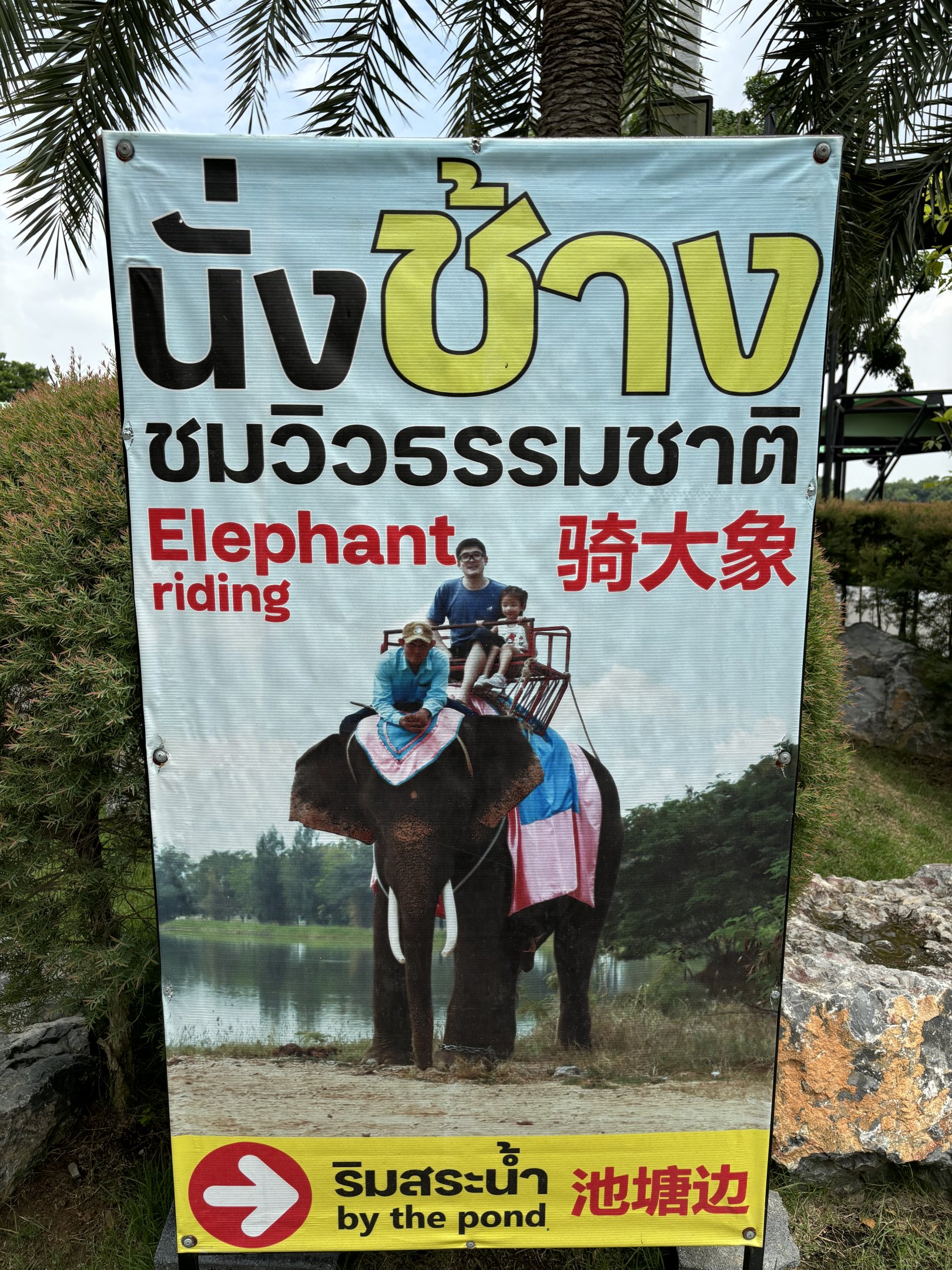Elephant Ride Poster - Lion Park