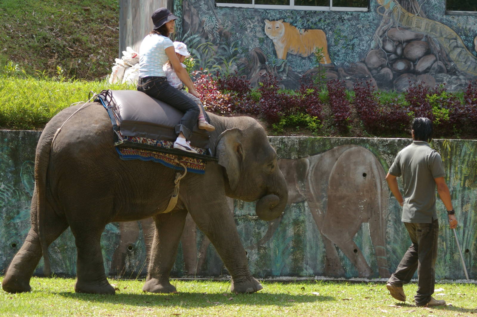 elephant ride
