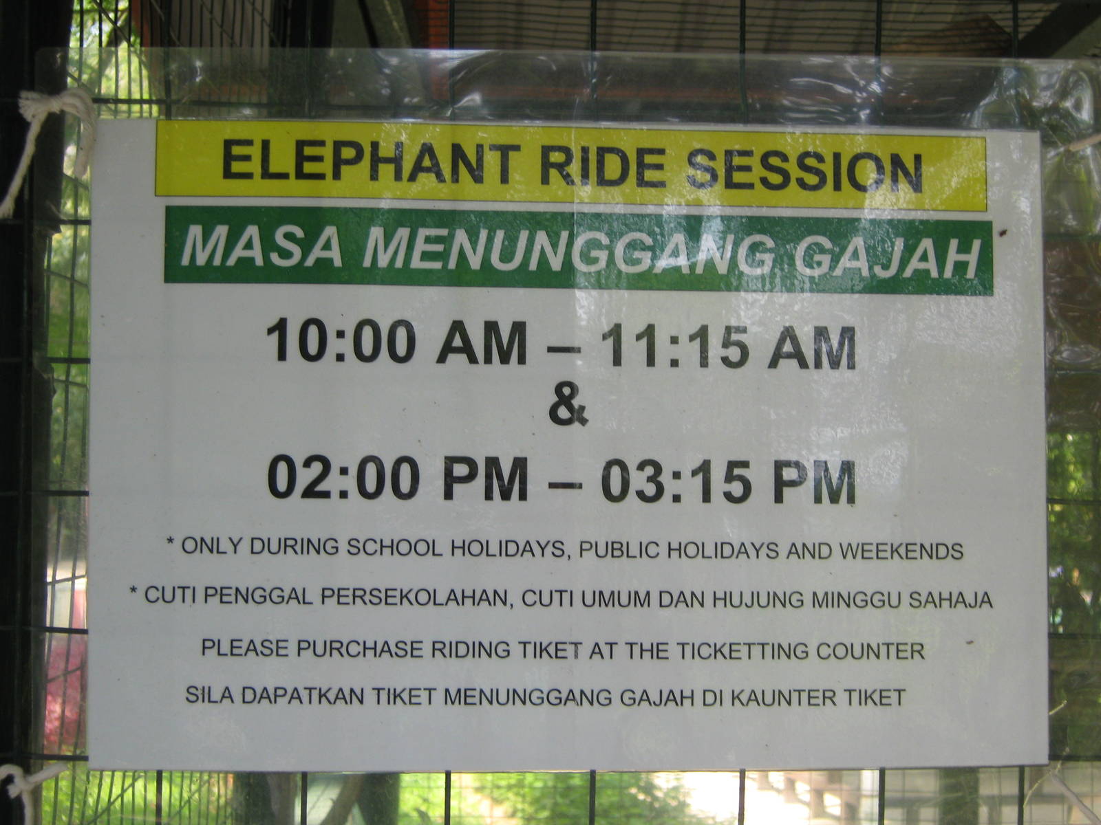 elephant riding sign