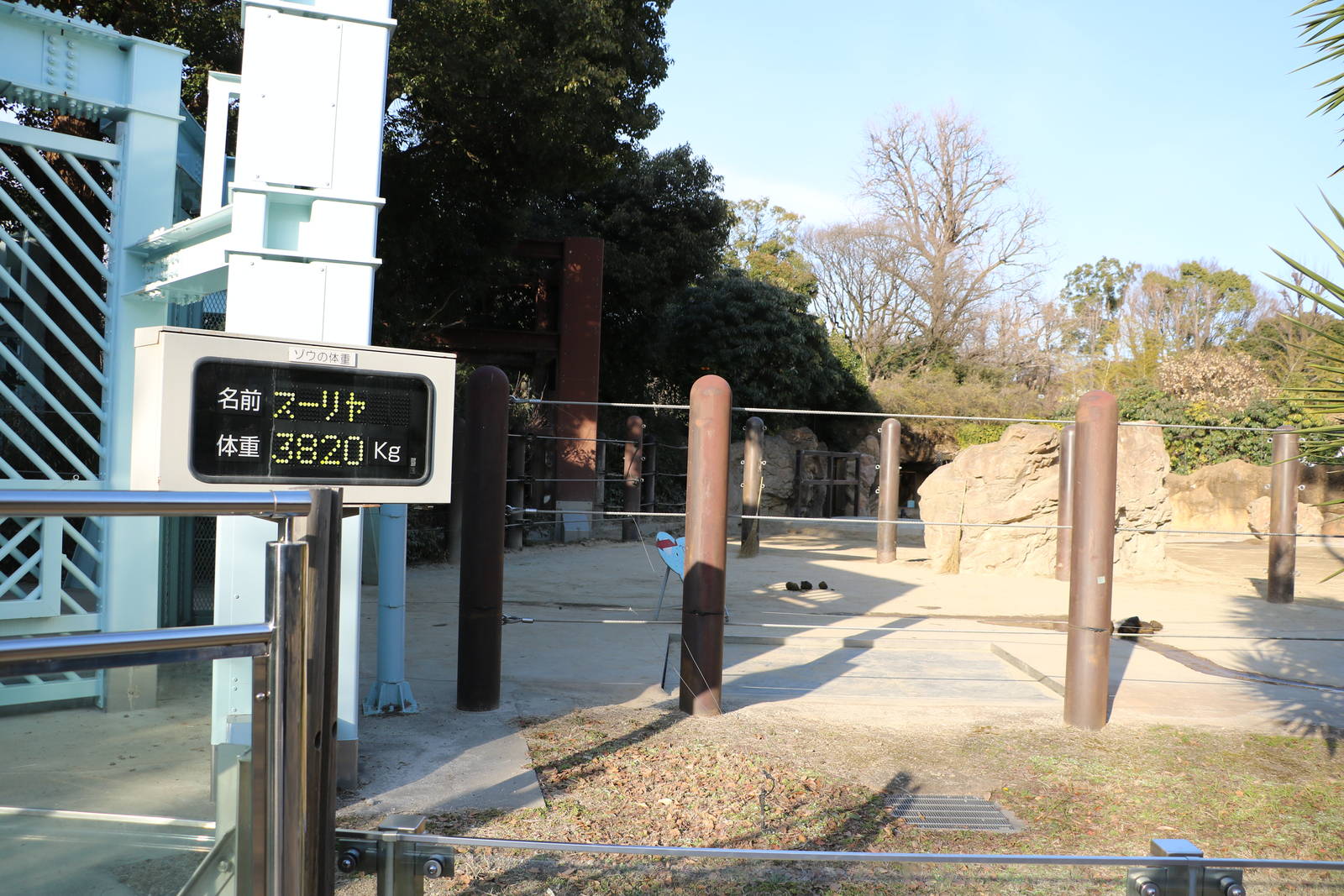 Elephant scales, February 2016