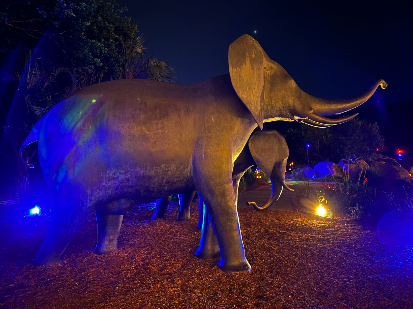 Elephant Sculptures At Night
