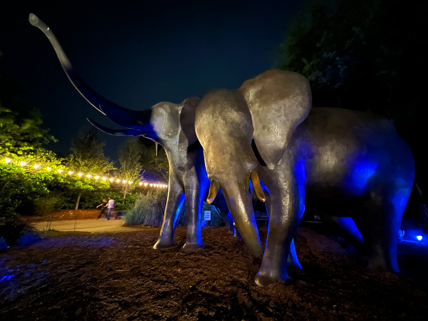Elephant Sculptures At Night