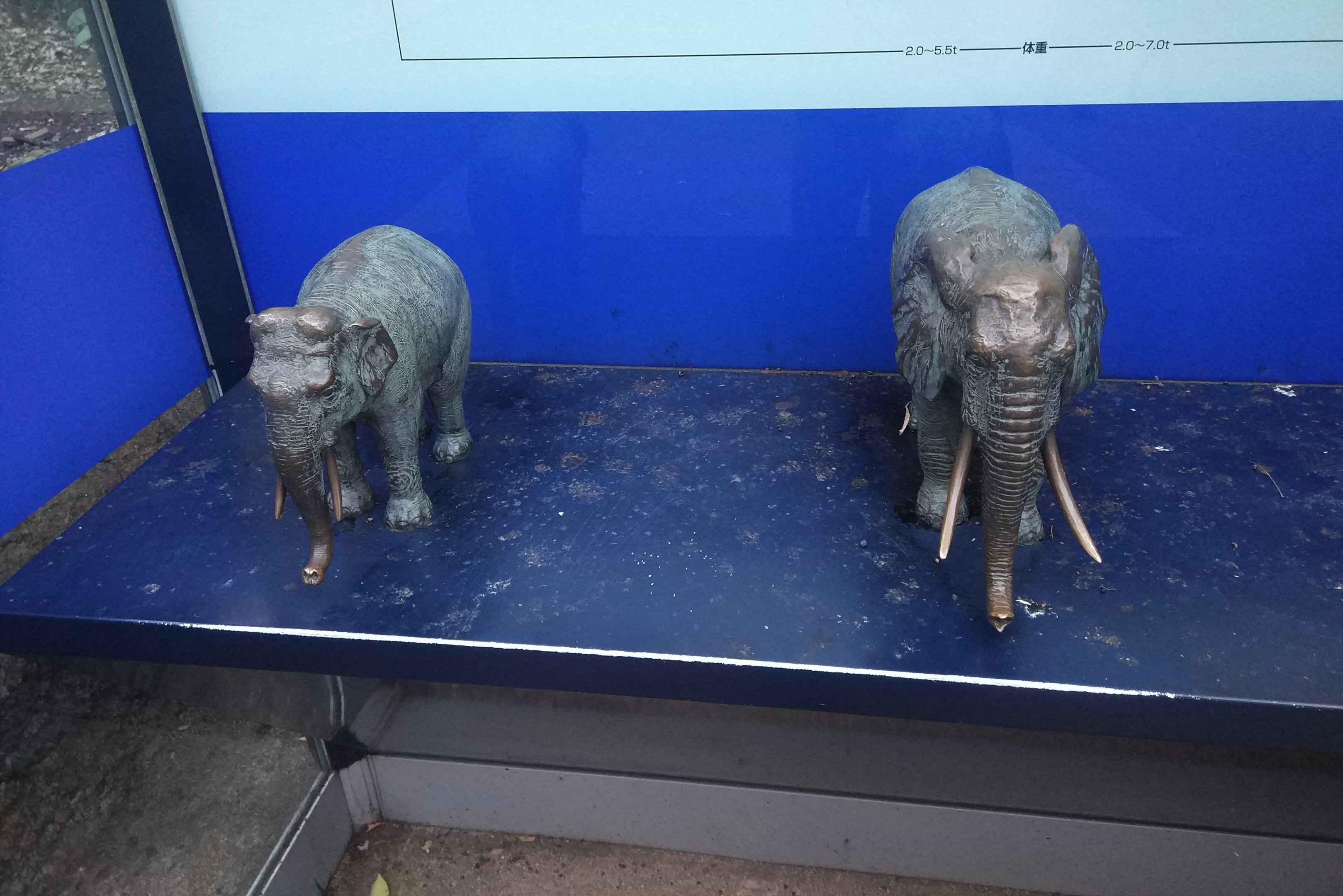 Elephant Sculptures