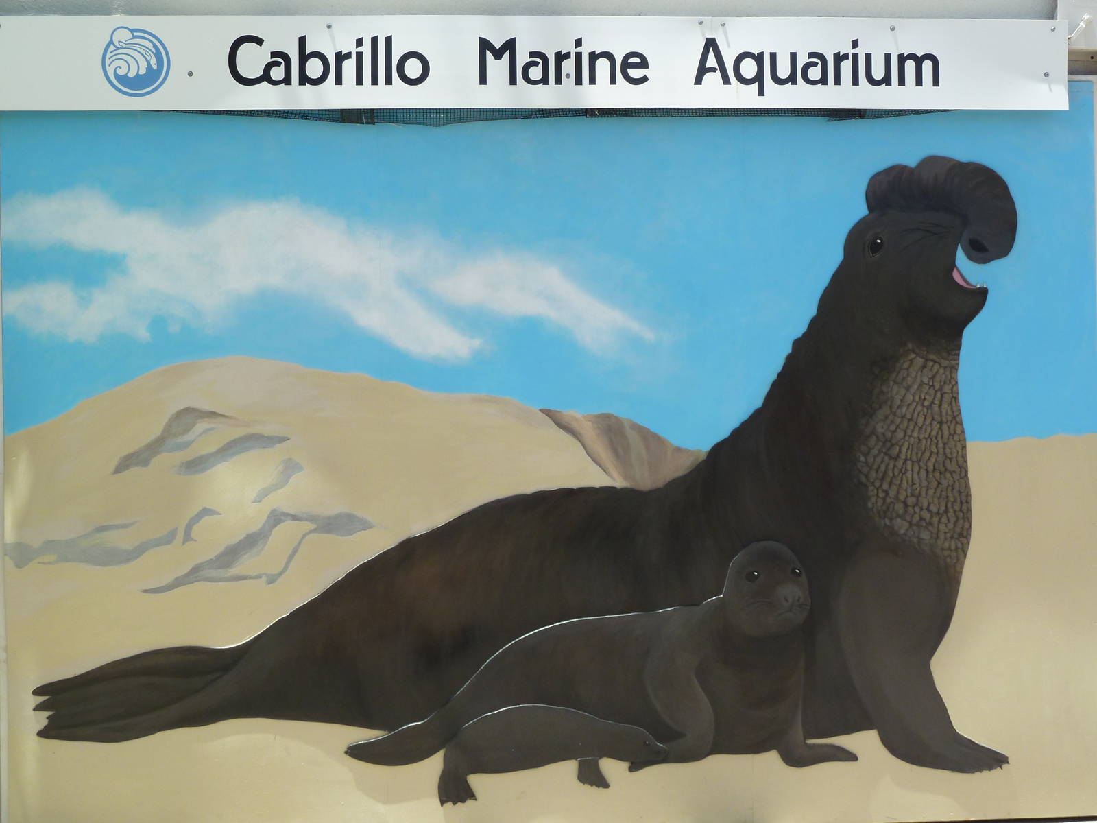 Elephant Seal Mural