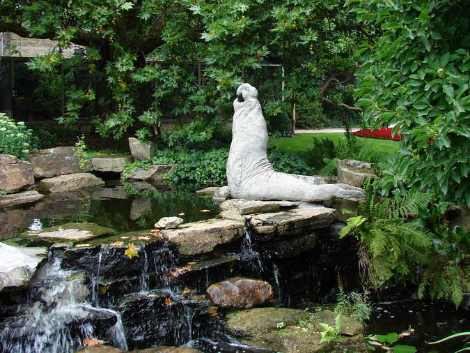 Elephant-Seal Sculpture