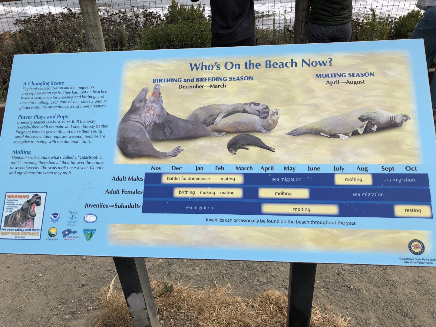 Elephant seal signage