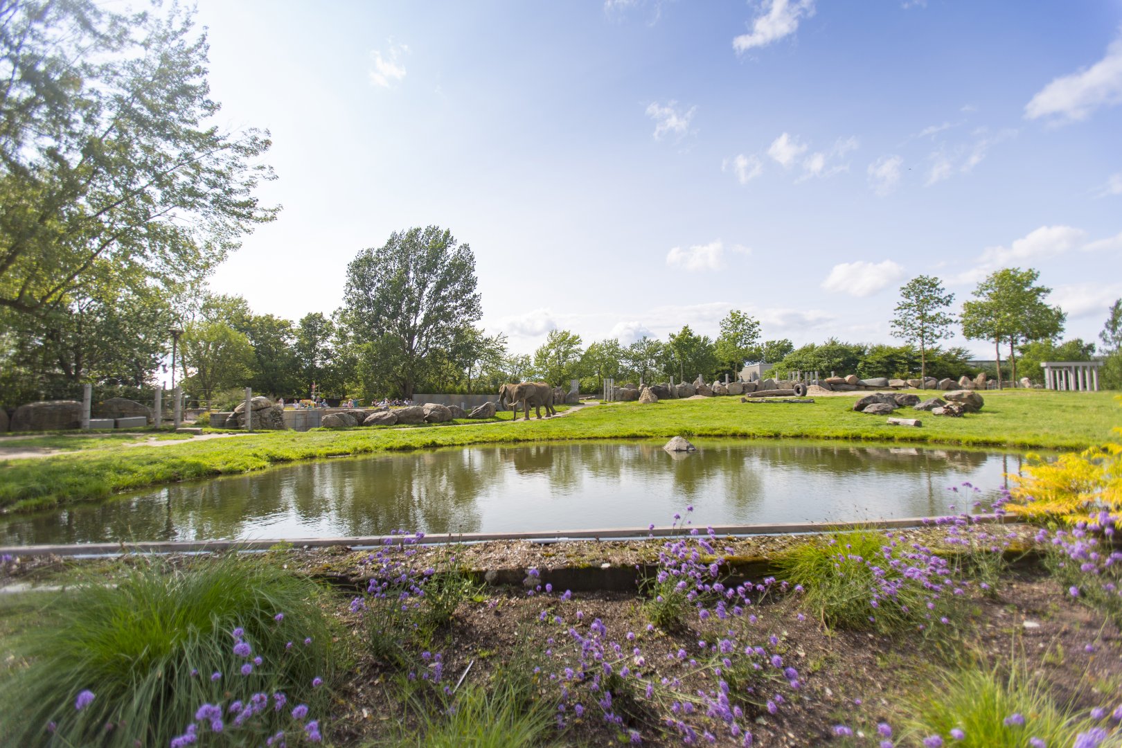 Elephant Second Yard - Third vantage point