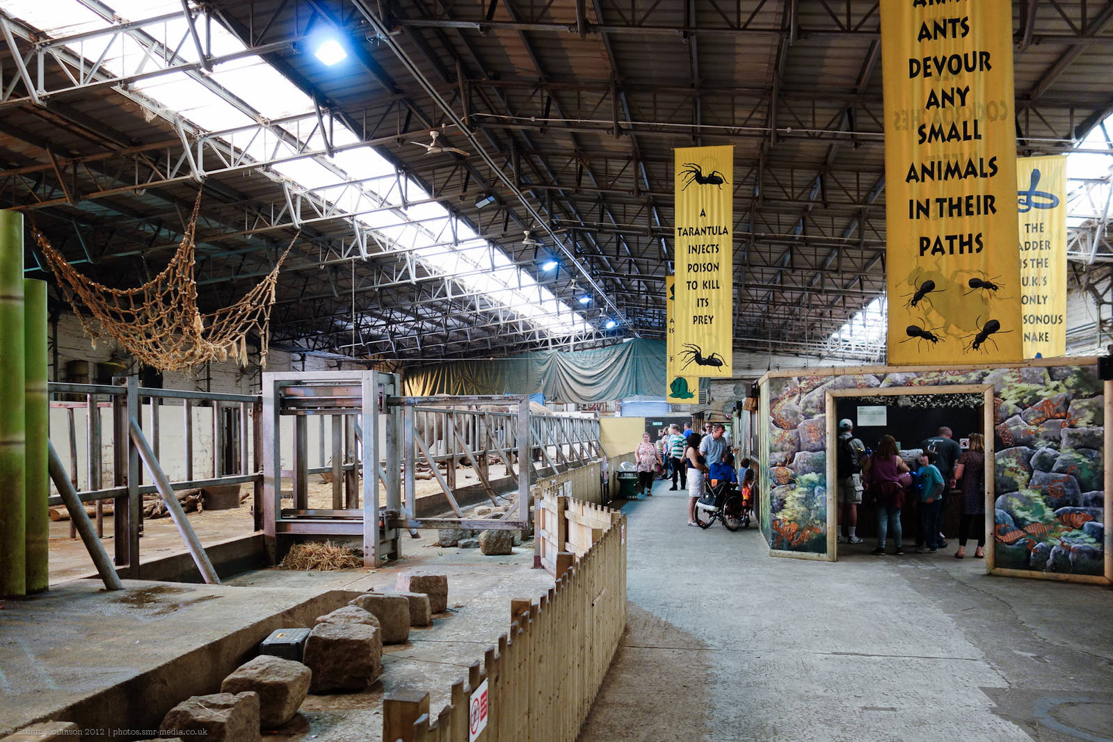 Elephant Shed and Reptile Area - 11/08/2012