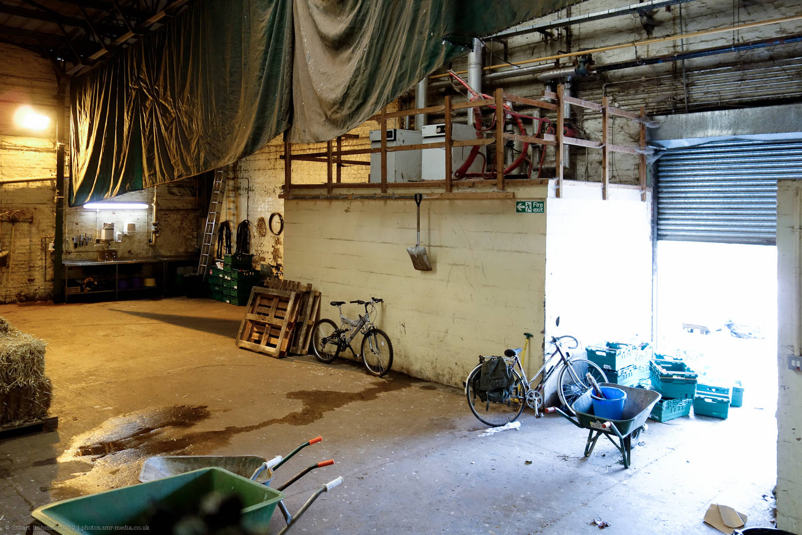 Elephant Shed Keeper Area - 11/08/2012