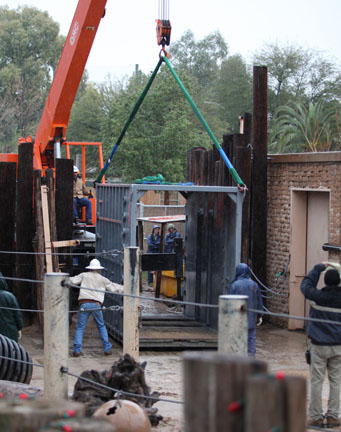 elephant shipping crate