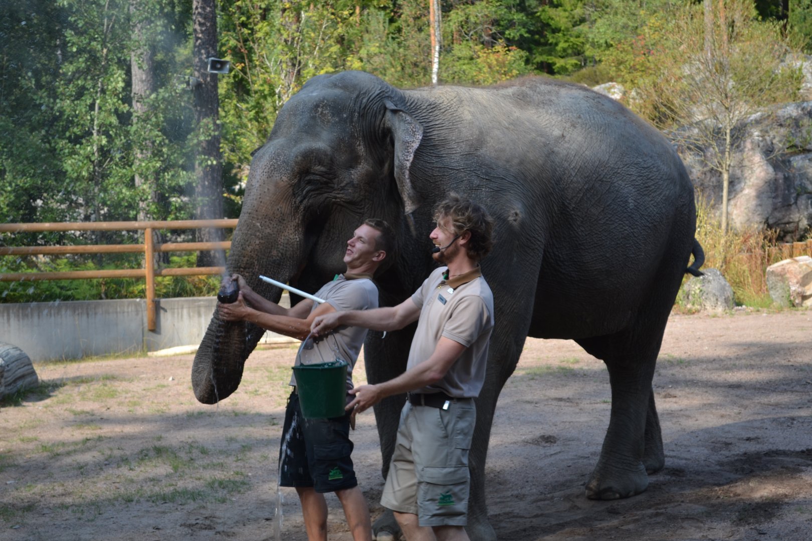 Elephant show at Kolmården 2014