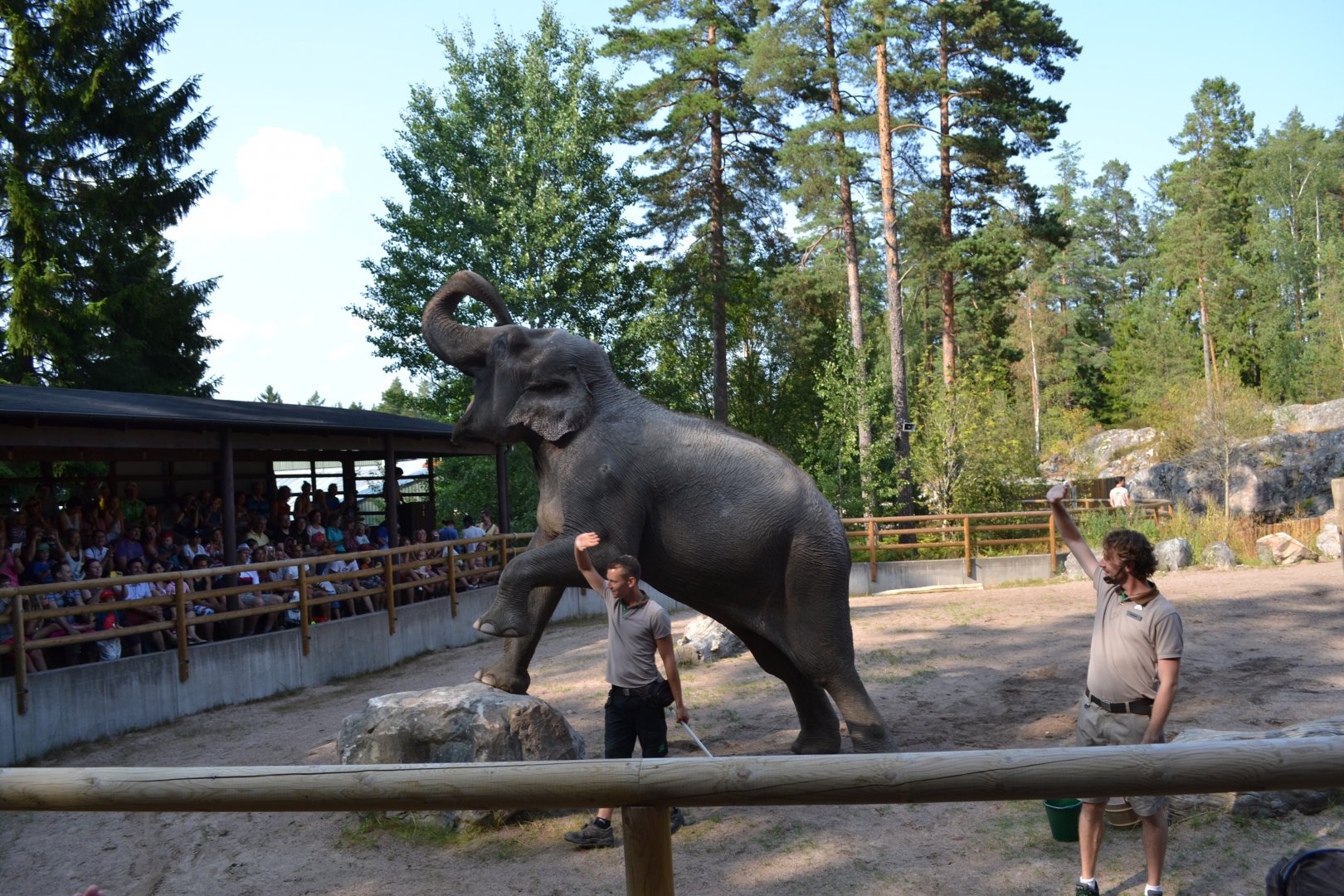 Elephant show at Kolmården 2014