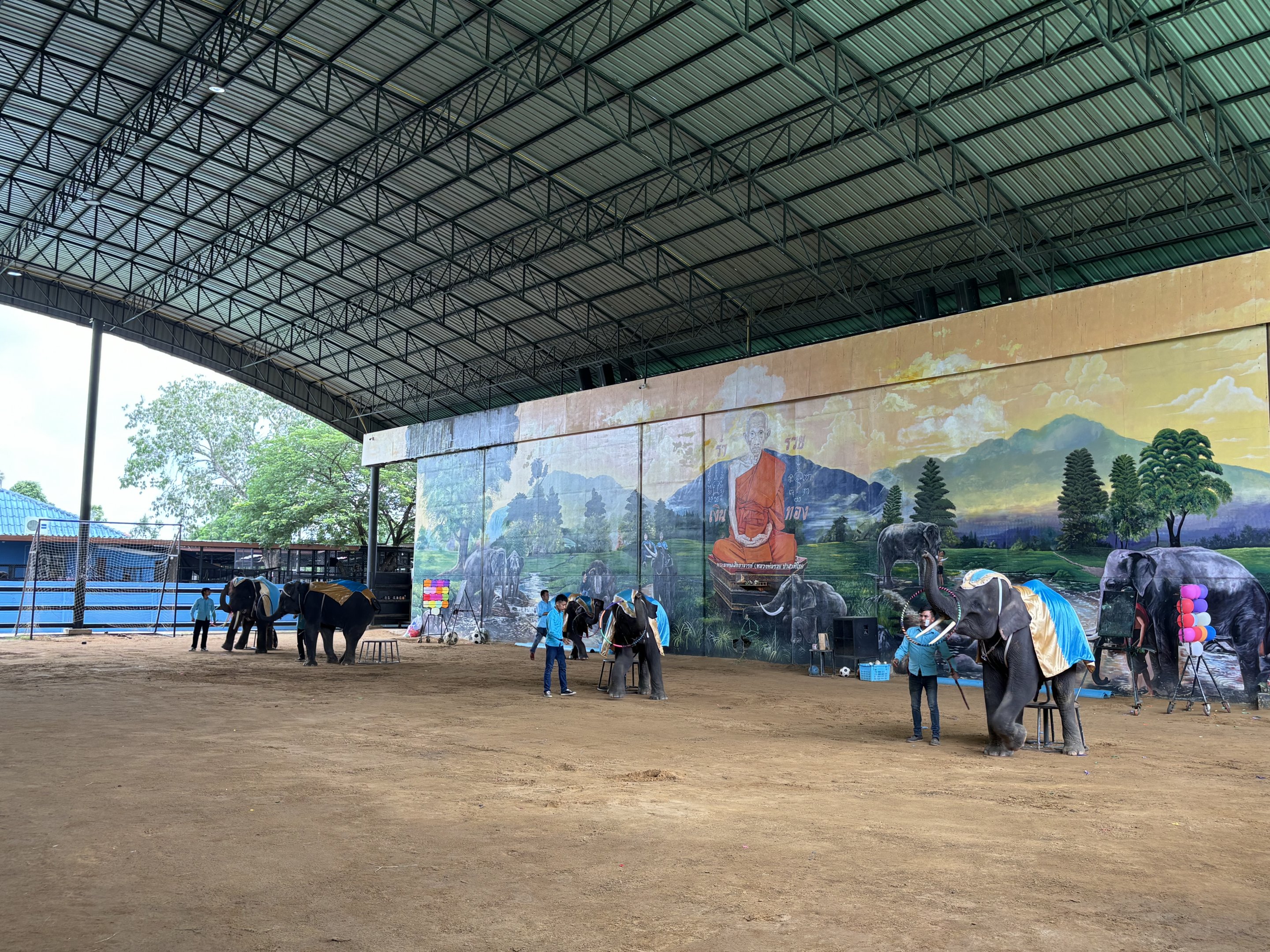 Elephant Show - Lion Park