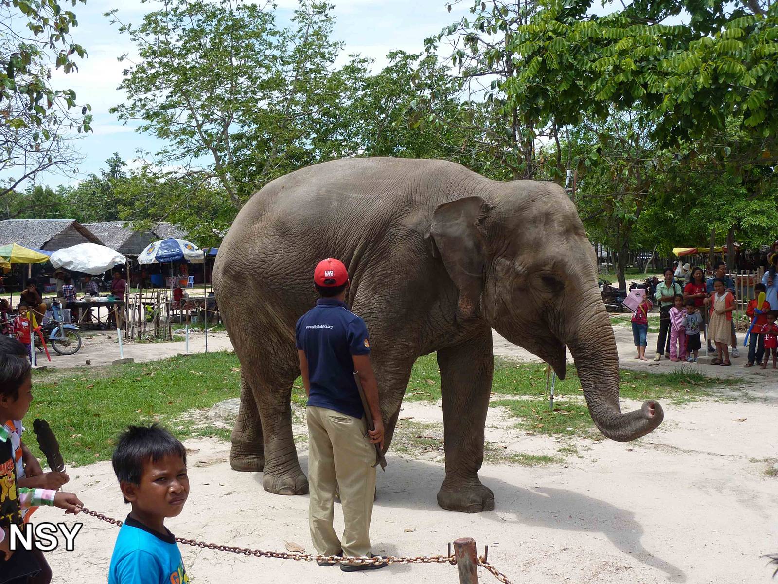 Elephant show, May 2013.