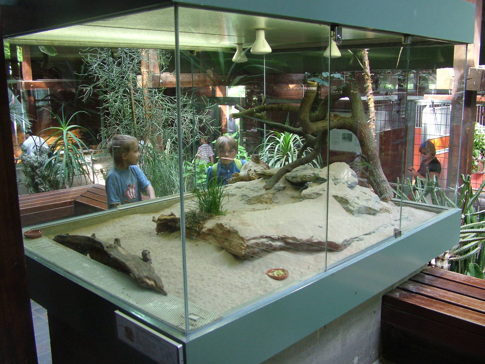 Elephant Shrew Exhibit at Wilhelma, Stuttgart 02/09/10