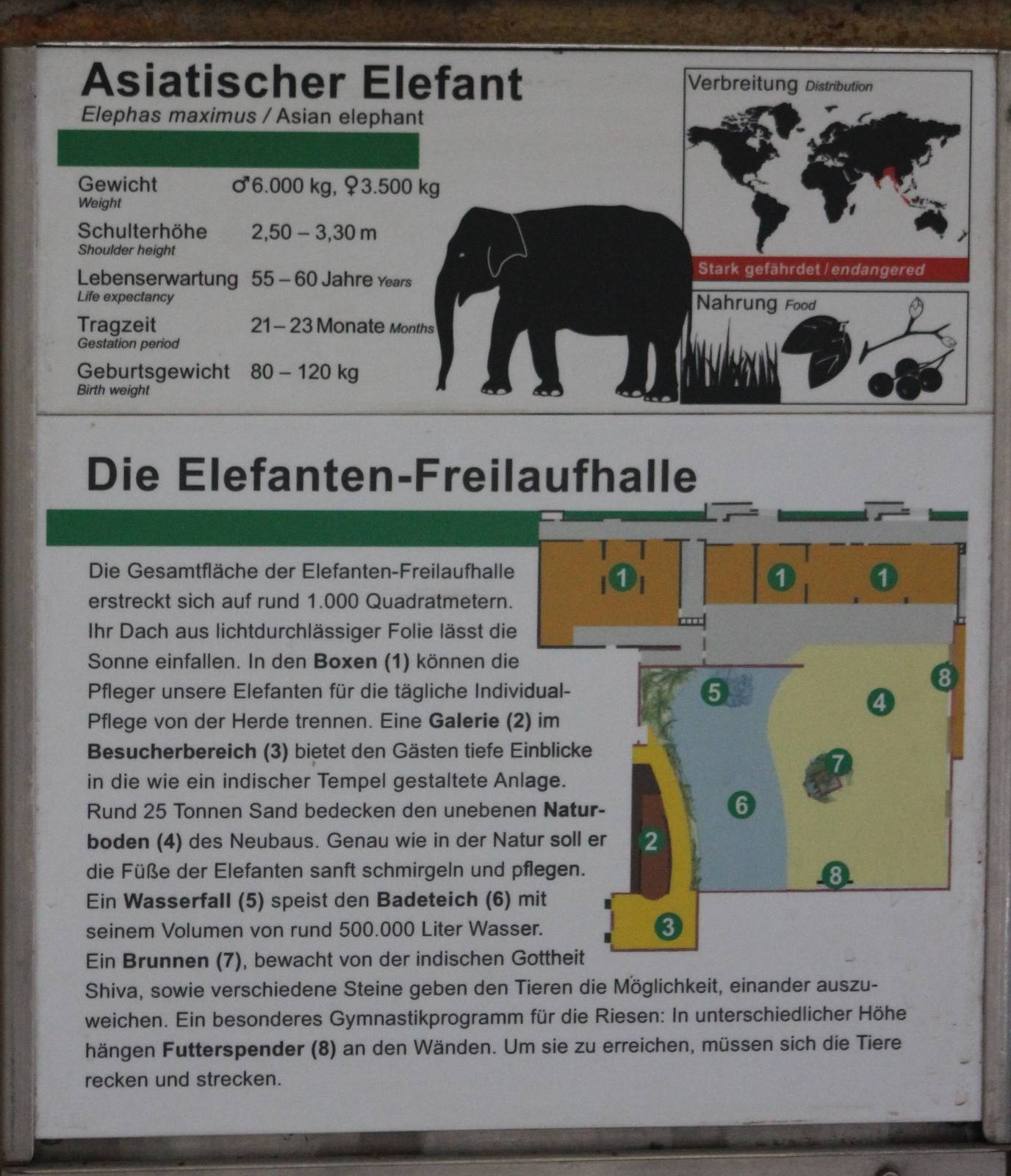 Elephant sign and plan of the enclosure