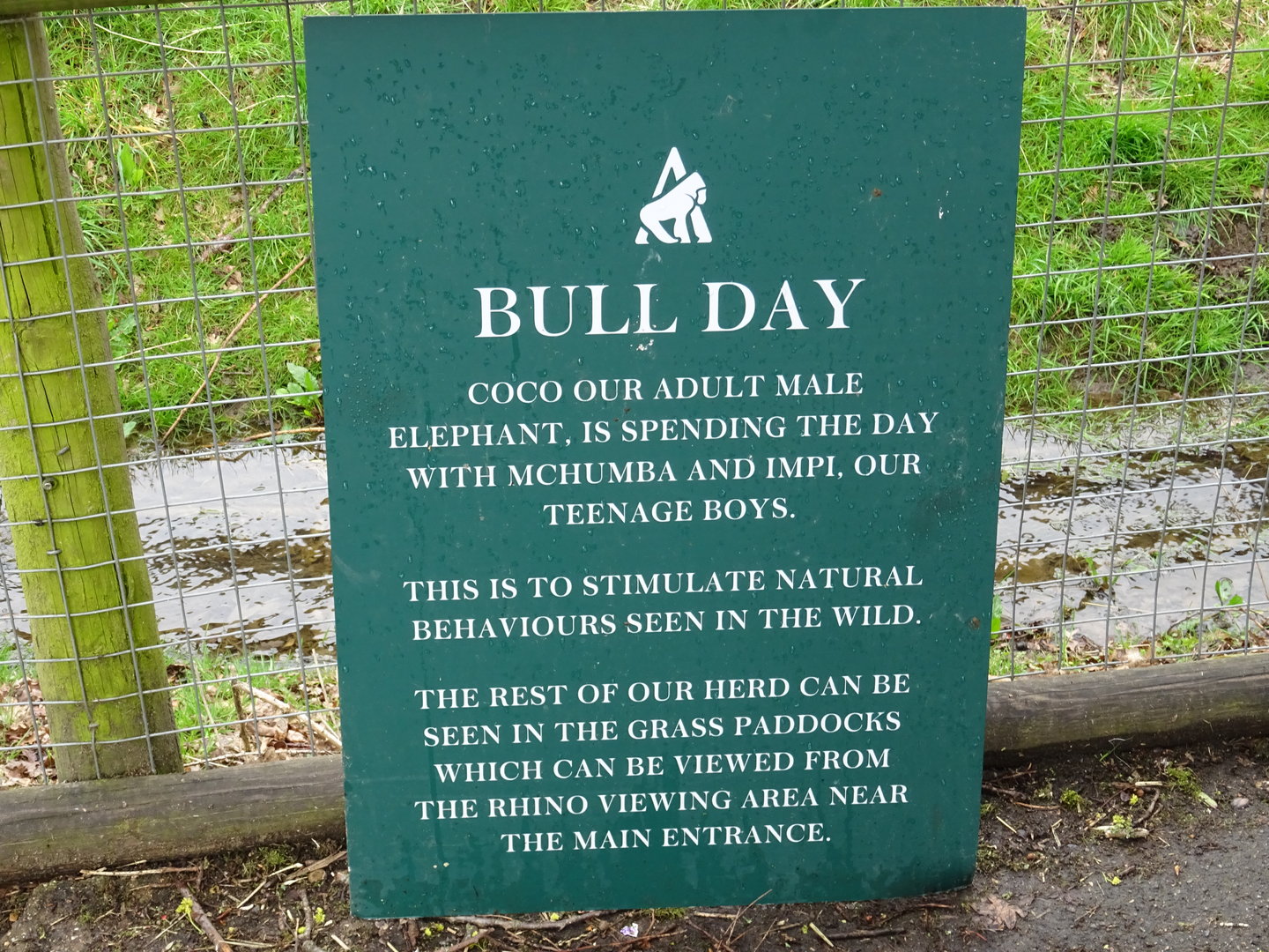 Elephant Sign