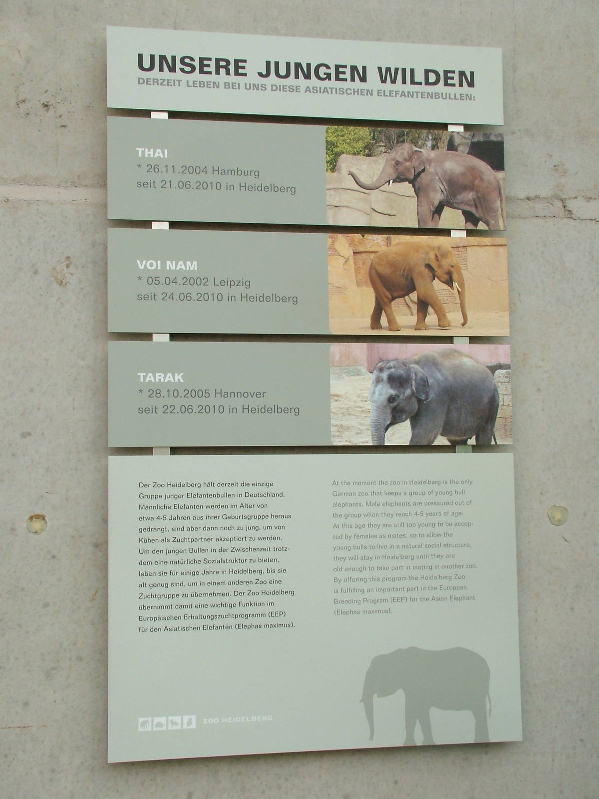 Elephant Signage at Heidelberg, 05/09/10