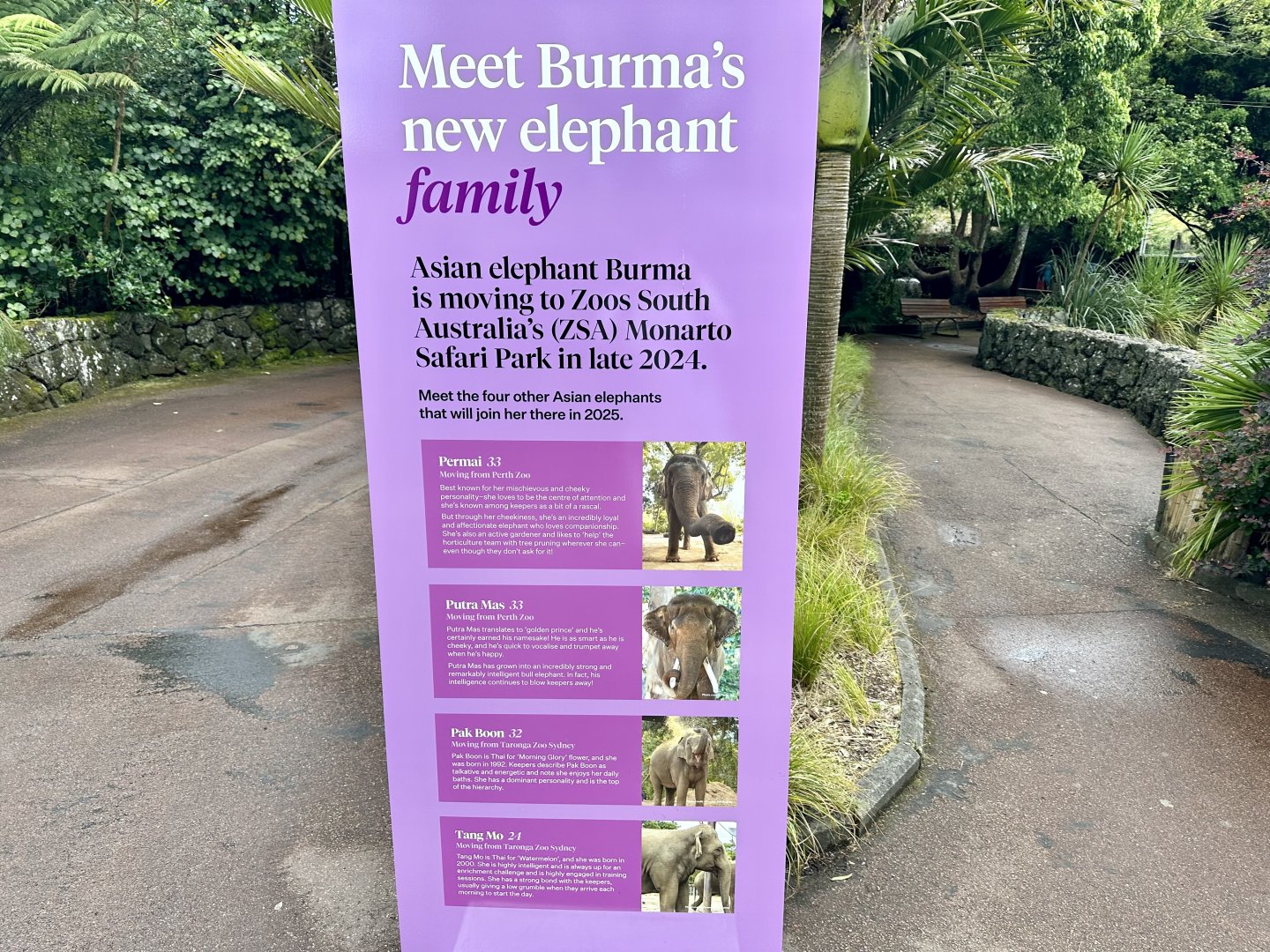 Elephant Signage - Burma’s New Family