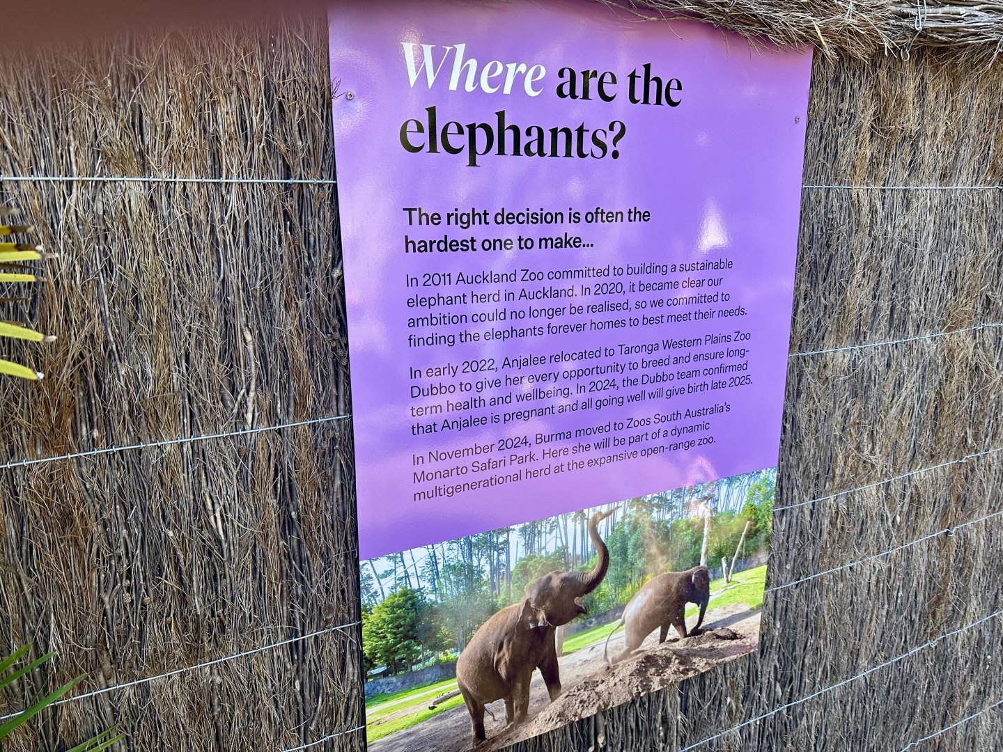 Elephant Signage