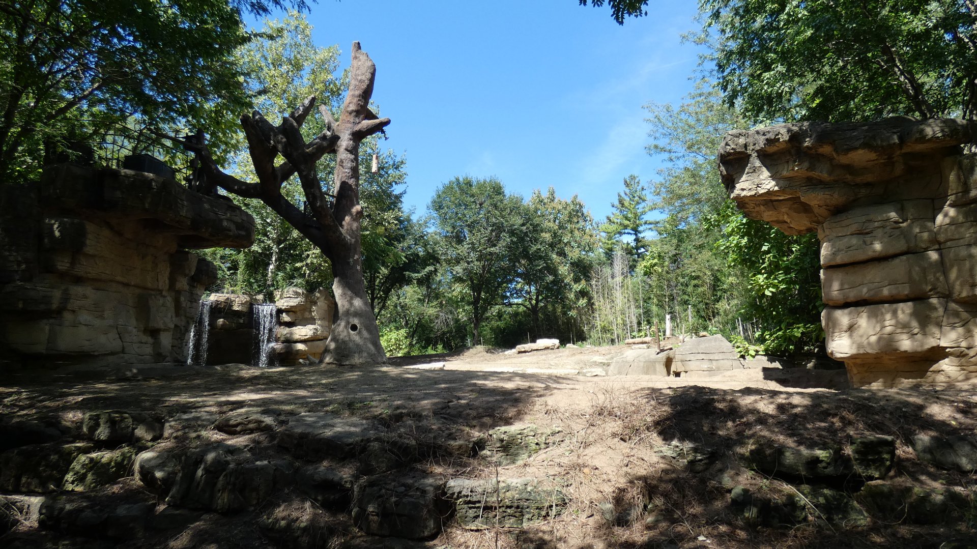 Elephant Springs, Asia, River's Edge  - Sep. 2021