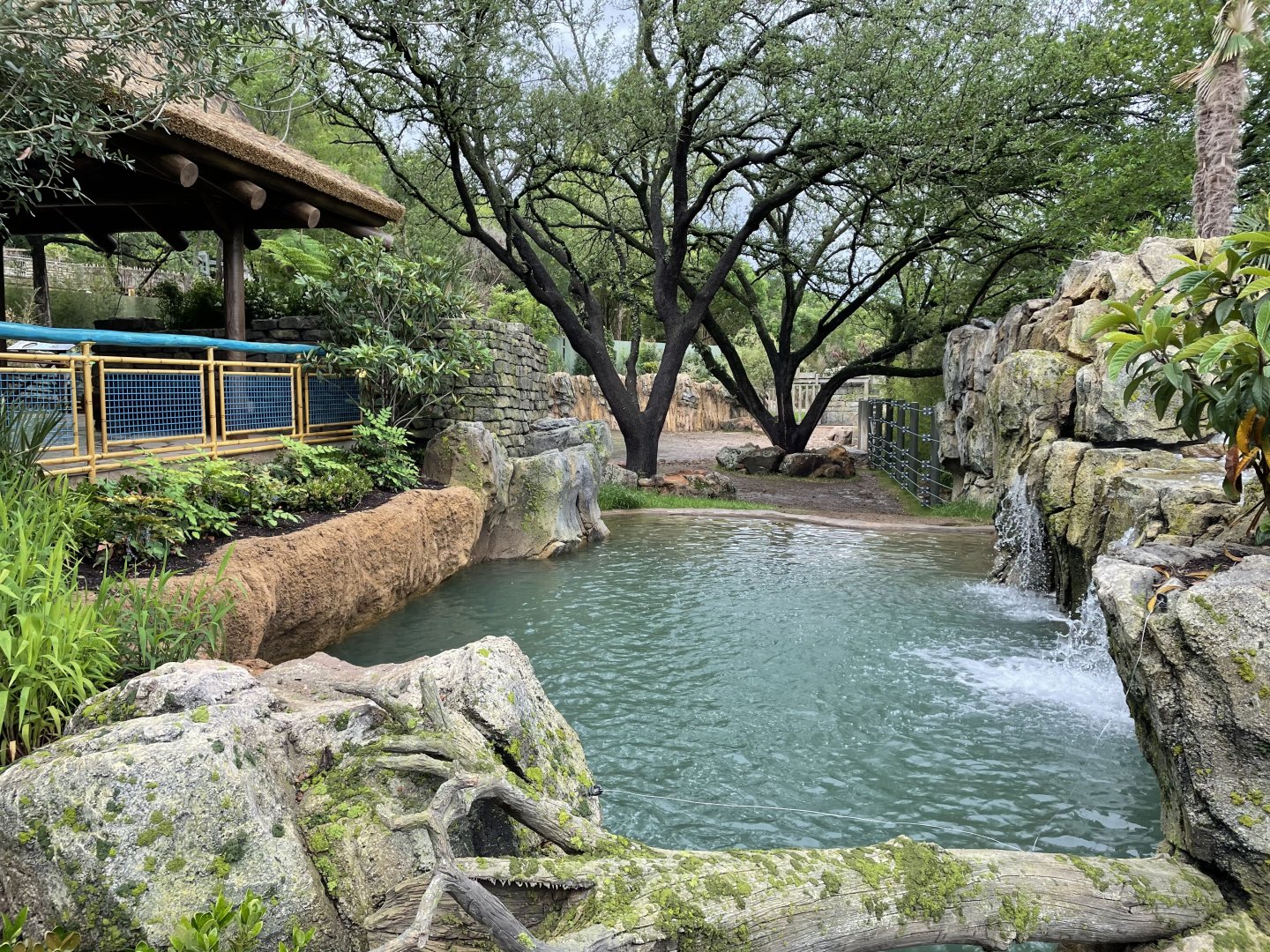 Elephant Springs - Indian Rhinoceros Pool