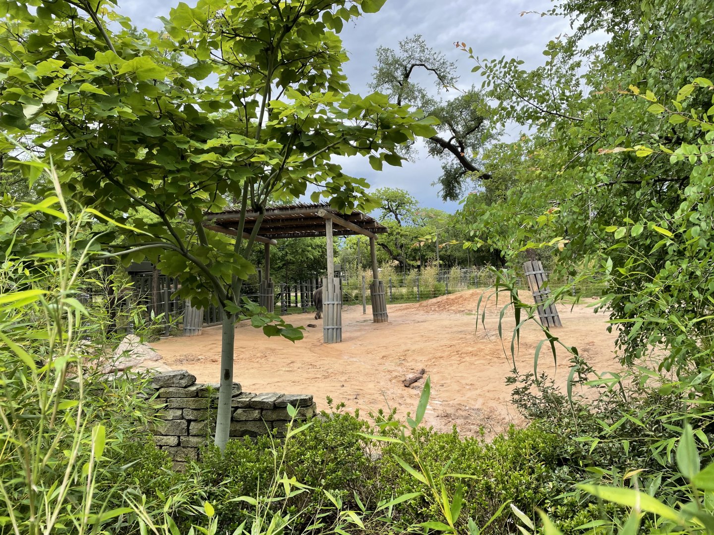 Elephant Springs - North Habitat