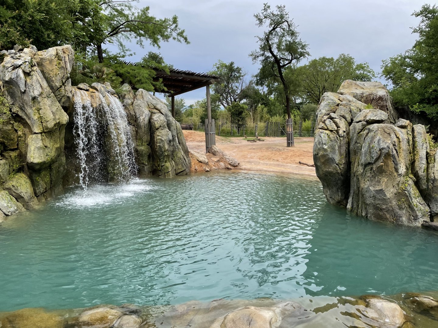Elephant Springs - North Habitat