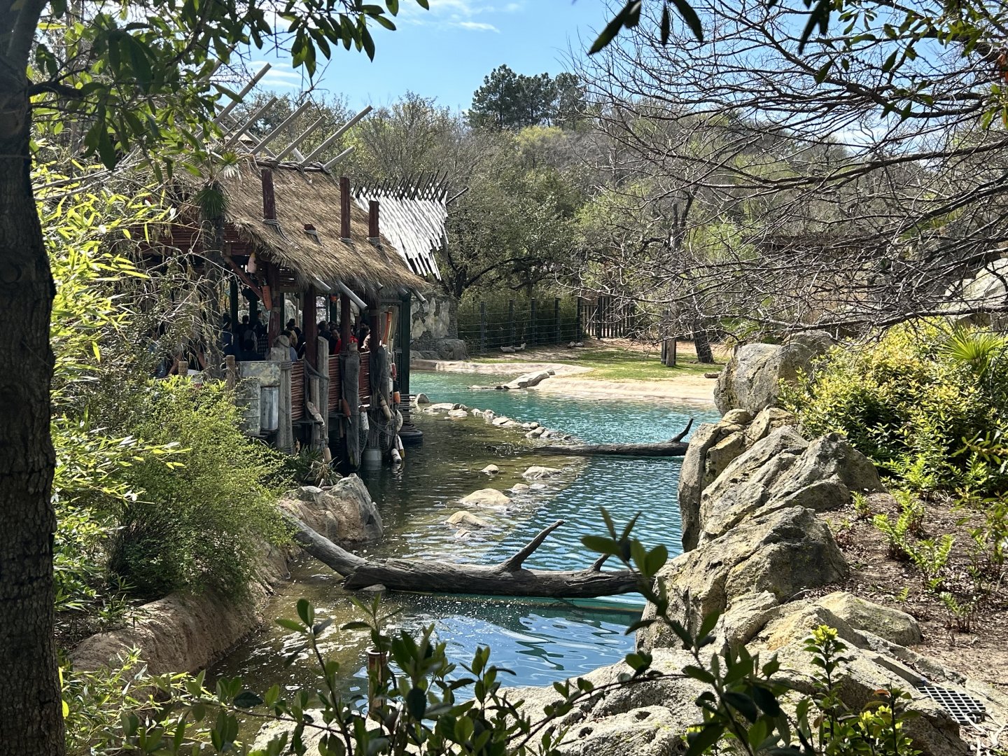 Elephant Springs Outlook