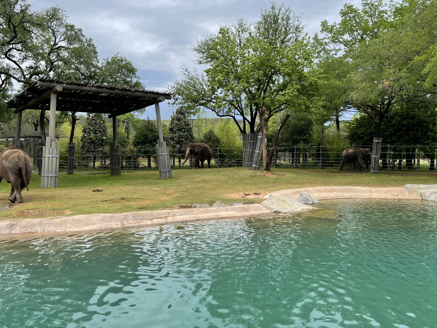 Elephant Springs - South Habitat