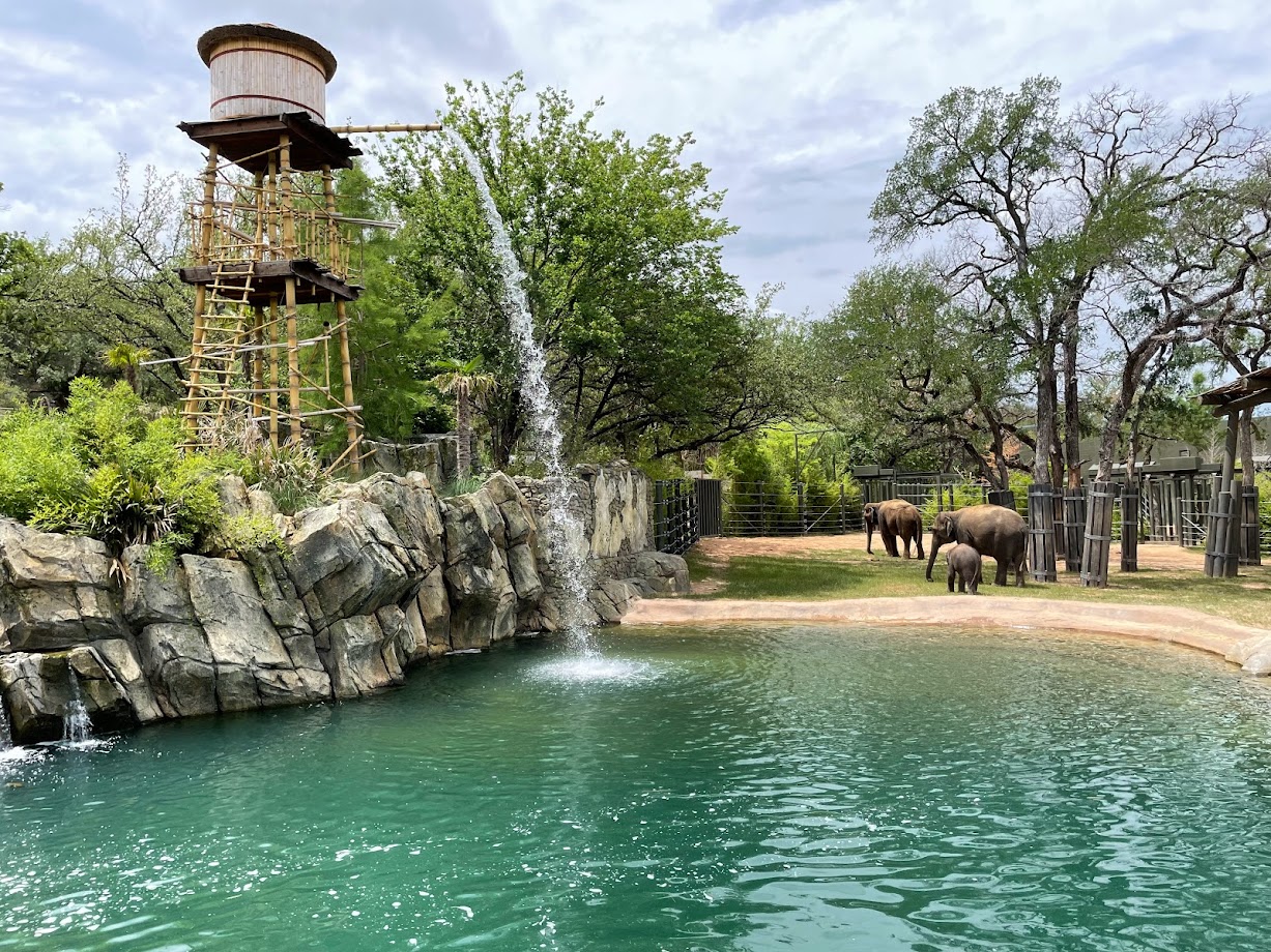 Elephant Springs