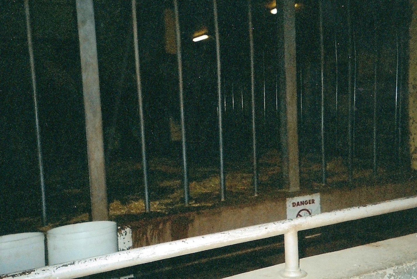 Elephant Stall January 2005