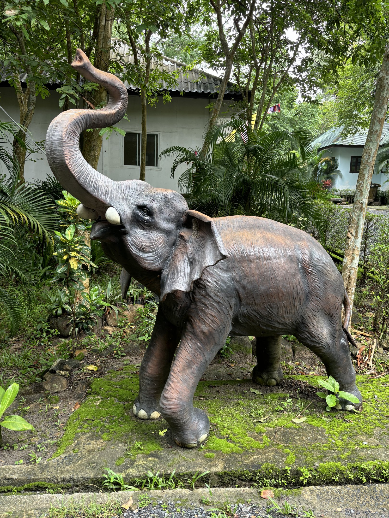Elephant Statue #1