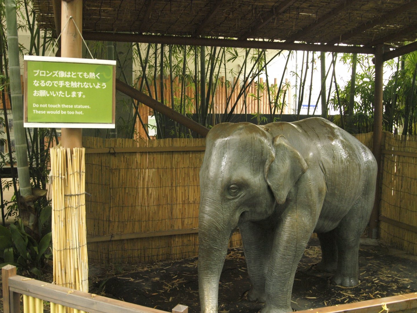 Elephant statue and intriguing sign