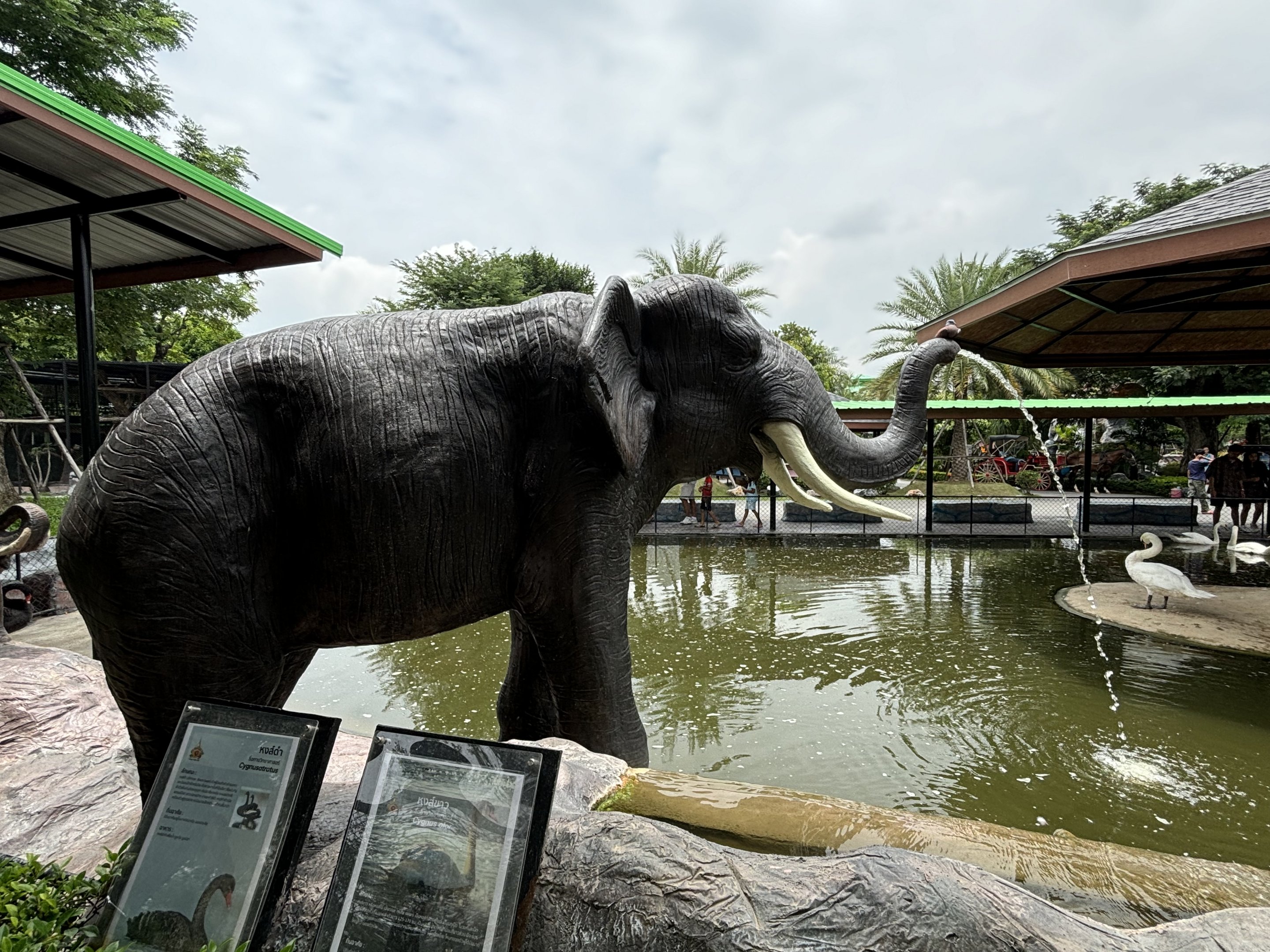 Elephant Statue - Lion Park