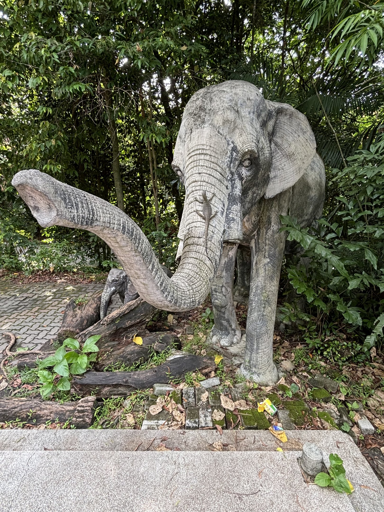 Elephant Statue + Wild Monitor Lizard