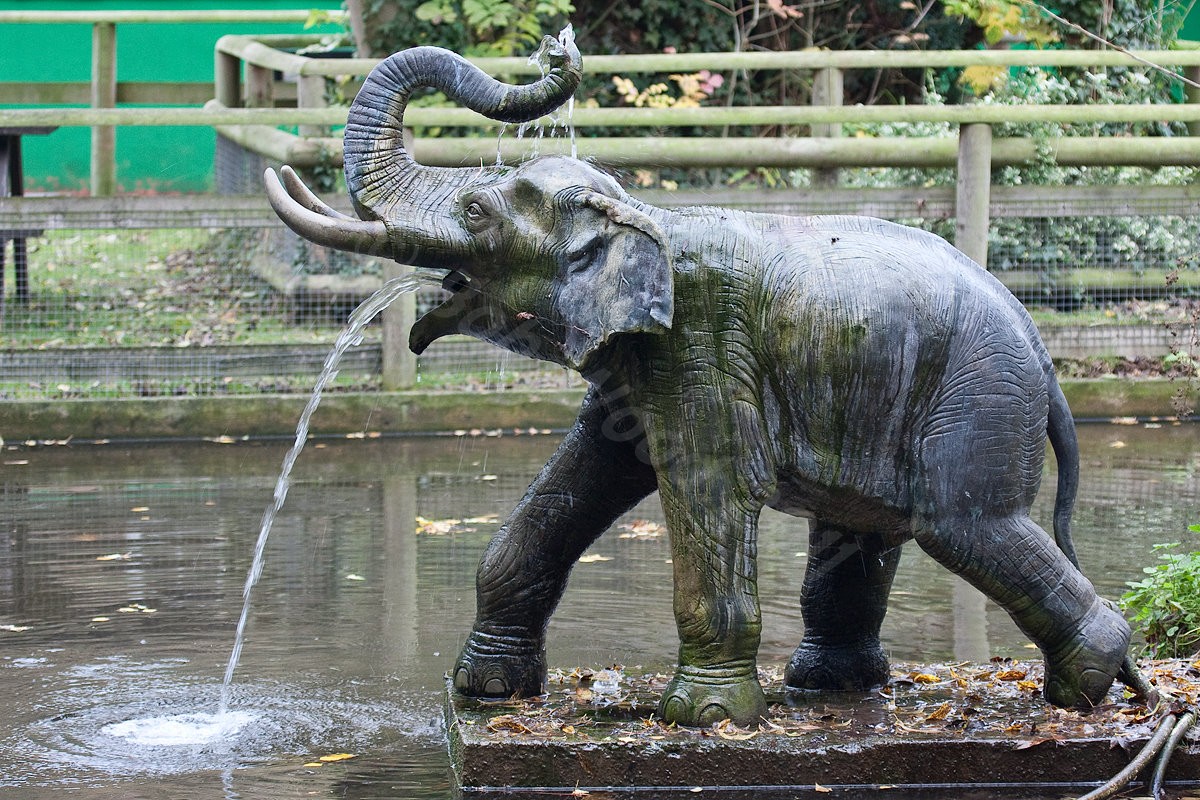 Elephant Statue