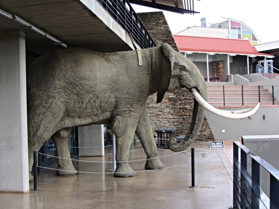 Elephant Statue