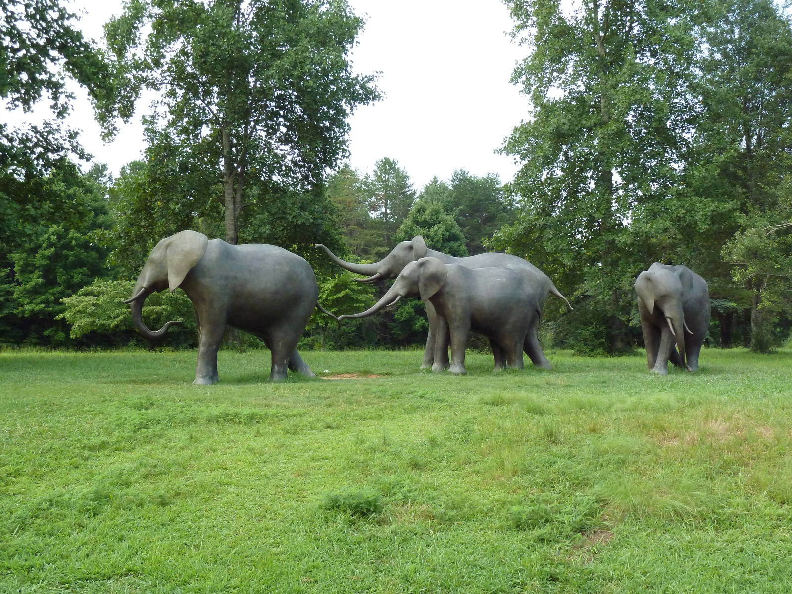 Elephant Statues