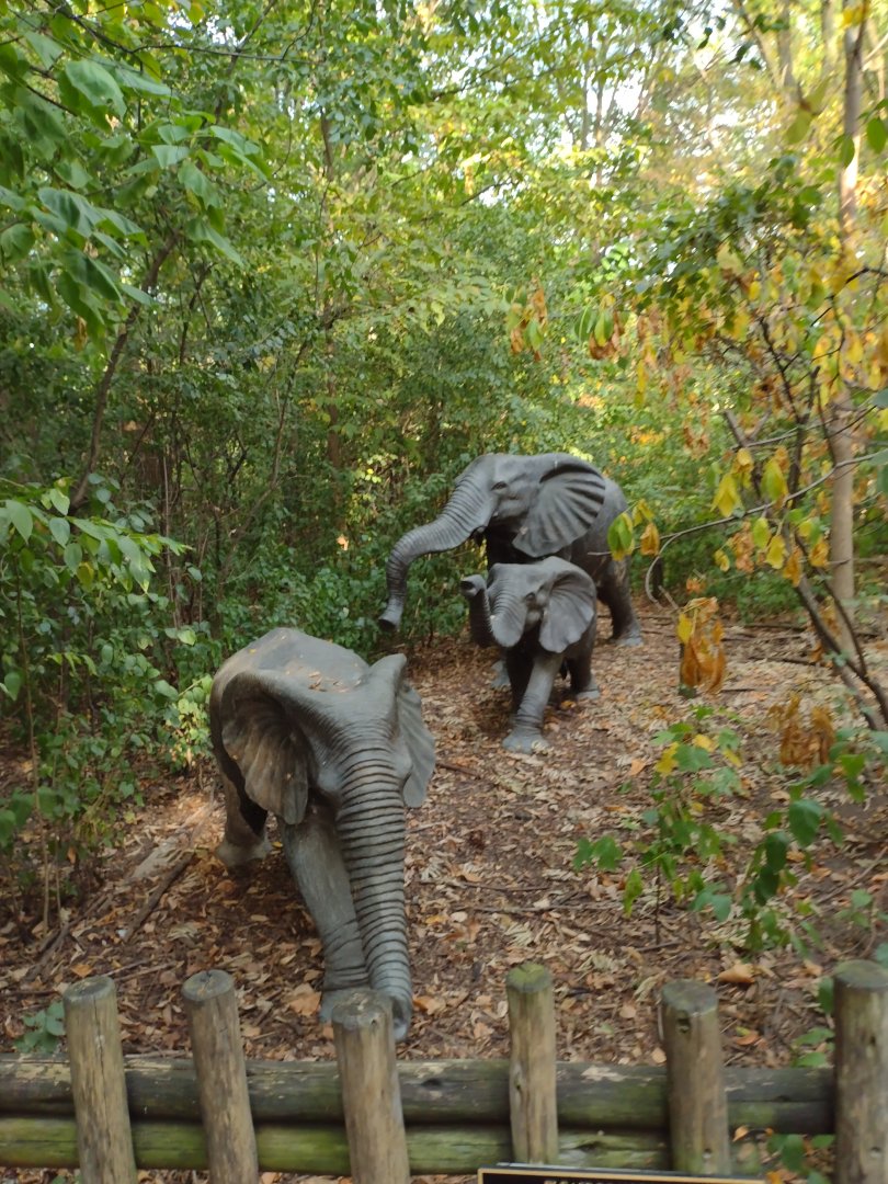 Elephant Statues