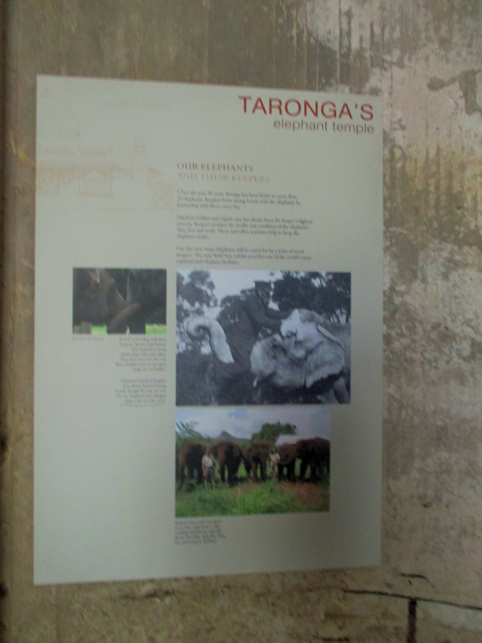 Elephant Temple Sign