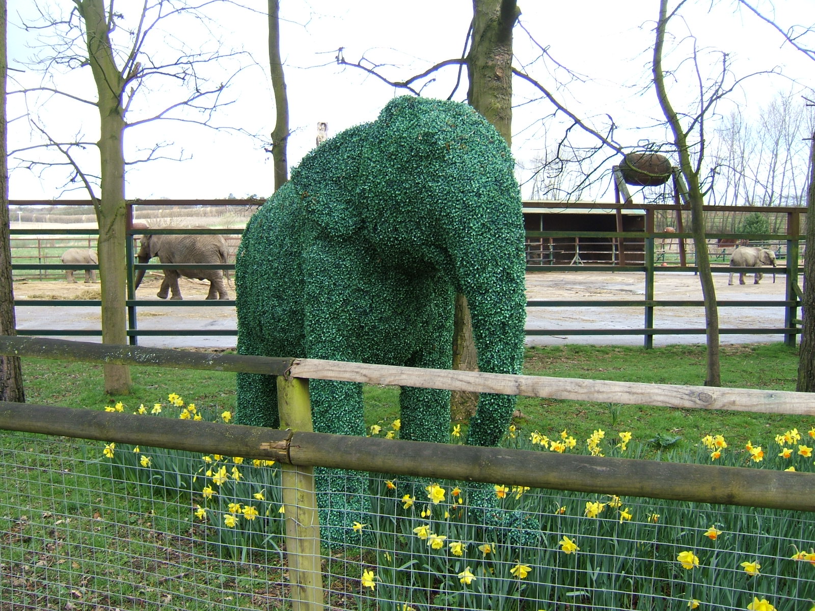 Elephant topiary near African elephant enclosure at Howletts Wild Animal Pa